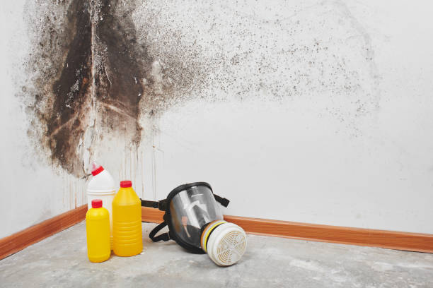 Best Professional Mold Removal  in Claremont, NC